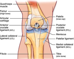 11 Essential ACL Rehab Exercises: Early Stretch and Strengthen