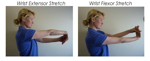 Wrist Flexor Extensor
