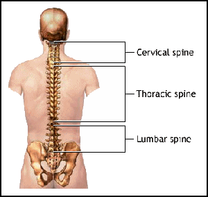 physio treatment of thoracic pain