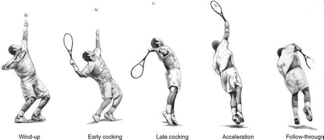 Shoulder Rehab Vs Surgery Do You Require Surgery Sport Spinal 